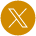 X icon